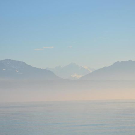 Bnb Chez Fanfan Morges Εξωτερικό φωτογραφία